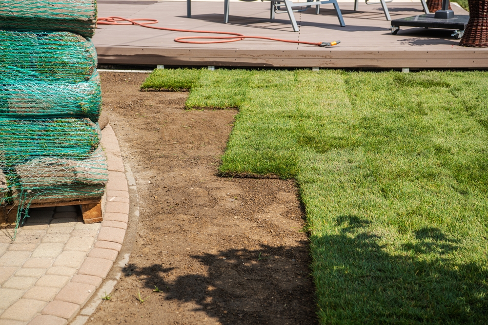 sod installation services in new orleans