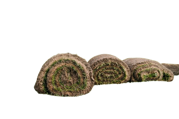 sod installation services in new orleans
