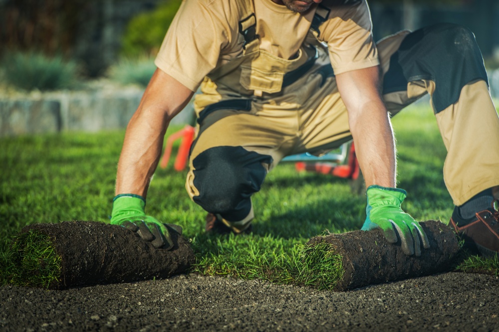 sod installation services in new orleans
