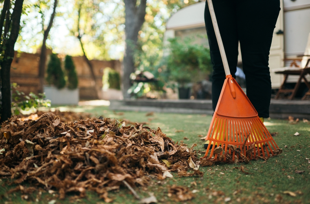 yard cleanup in new orleans