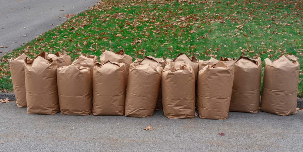 yard cleanup in new orleans
