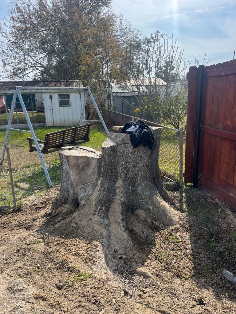Large tree stump with exposed roots beside a backyard fence - Cajun Care Demolition & Tree Service in New Orleans