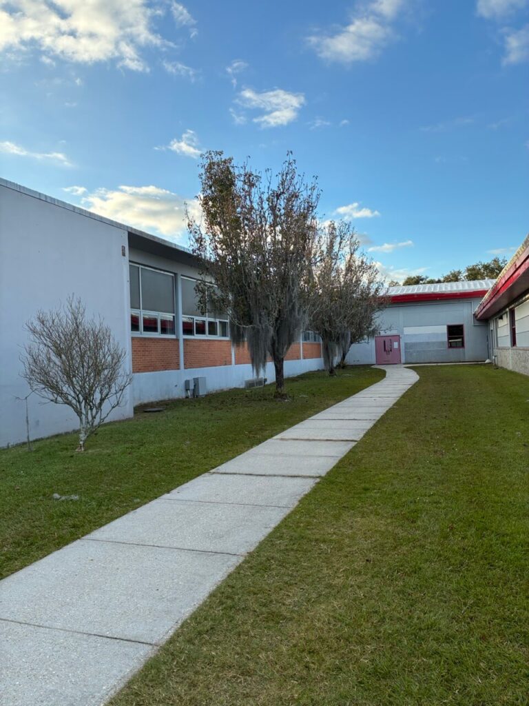 Trees and maintained lawn along a concrete walkway between buildings - Cajun Care Demolition & Tree Service in New Orleans