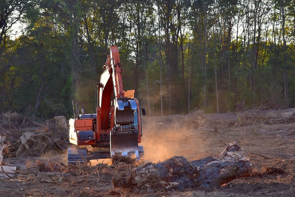 Why Is Land Clearing Important Before New Construction - land clearing in new orleans